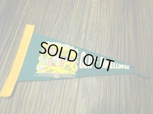 画像1: CLIFF DWELLINGS Pennant