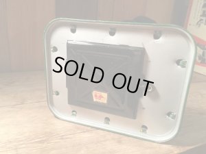 画像7: ROSKO BLUSHING FRANKENSTEIN MONSTER