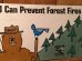 アメリカの森林火災撲滅キャンペーンのPRキャラクター、スモーキーベアのマグネット