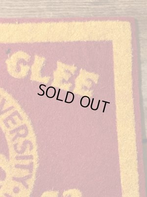 40年代頃のユニバーシティ物のビンテージワッペン