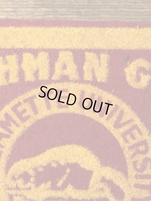 40年代頃のカレッジ物のフェルト製ヴィンテージワッペン