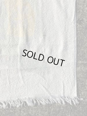 ケロッグのキャラクター「Dig 'Em」のヴィンテージバスタオル