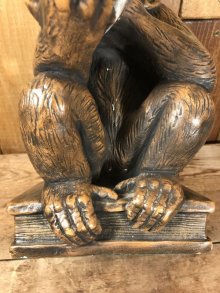他の写真3: Darwin Monkey with Skull Statue　ダーウィン　ビンテージ　スタチュー　スカル　置物　60年代