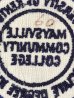 アメリカのユニバーシティ物の〜70年代ビンテージ刺繡ワッペン