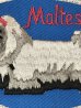 犬の犬種Malteseが描かれた70’sヴィンテージ刺繡パッチ