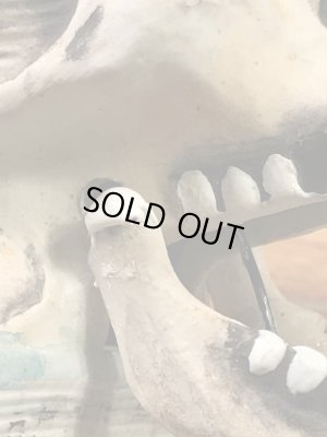 顎がゆらゆら揺れるスカルオンブックの50’sヴィンテージマッチホルダー