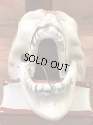 スカルオンブックのメイドインジャパンの50年代ビンテージマッチホルダー