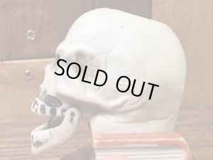 スカルオンブックの陶器製の50年代ビンテージマッチホルダー