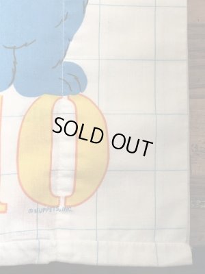 セサミストリートのキャラクターとナンバーが書かれた70’sヴィンテージピローケース