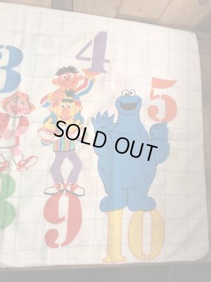 セサミストリートのキャラクターとナンバーが書かれた70’sヴィンテージピローケース