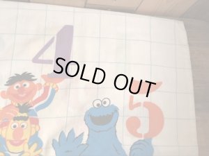 セサミストリートのキャラクターとナンバーが書かれた70’sヴィンテージピローケース