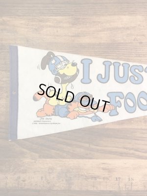 ガーフィールドとオーディーがフットボールをしている70〜80年代ビンテージペナント