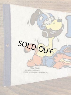 ガーフィールドとオーディーがフットボールをしている70〜80年代ビンテージペナント