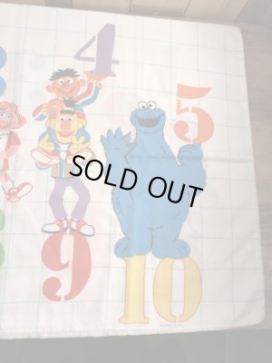 セサミストリートのキャラクターとナンバーが描かれた70’sヴィンテージピローケース