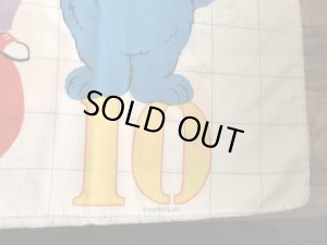 セサミストリートのキャラクターとナンバーが描かれた70’sヴィンテージピローケース