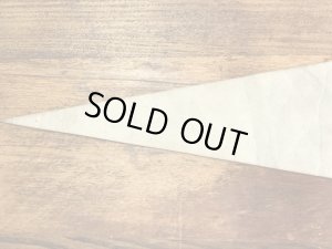 ガーフィールドとオーディーがフットボールをしている70〜80年代ビンテージペナント