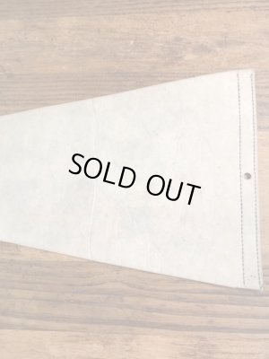 ガーフィールドとオーディーがフットボールをしている70〜80年代ビンテージペナント