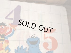 セサミストリートのキャラクターとナンバーが描かれた70’sヴィンテージピローケース