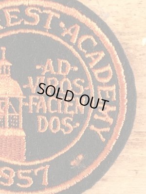 アメリカのイリノイ州レイクフォレストのボーディングスクールの〜70年代ビンテージ刺繡ワッペン