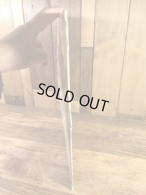 キャスパーのLP盤の70年代ビンテージレコード