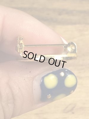 アメリカイリノイ州オーロラのカメの70〜80年代ビンテージメタルバッジ