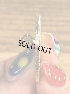 アメリカイリノイ州オーロラのカメの70〜80年代ビンテージメタルバッジ