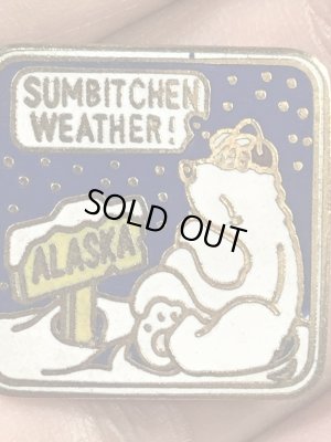 アラスカのスーベニア物の70~80’sヴィンテージピンズ