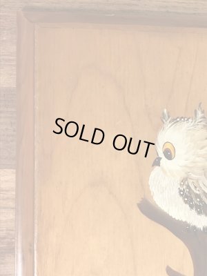 フクロウがハンドペイントで描かれた70’sヴィンテージ壁掛け