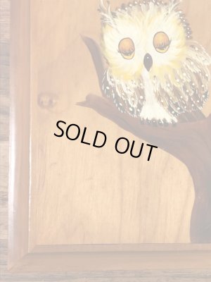 フクロウがハンドペイントで描かれた70’sヴィンテージ壁掛け