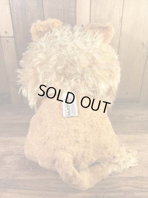 マテル社製のラリーザライオンの60年代ビンテージトーキングドール