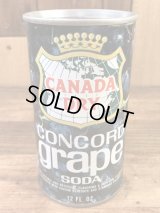 Canada Dry Concord Grape Soda Drink Can　コンコードグレープソーダ　ビンテージ　スチール缶　カナダドライ　60〜70年代