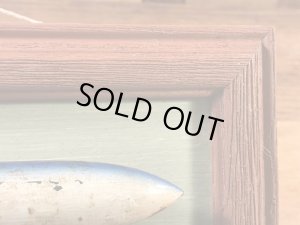 ルアーのポッパーが額縁に付いている50年代〜ビンテージ壁掛け