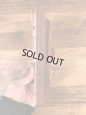 ルアーのポッパーが額縁に付いている50年代〜ビンテージ壁掛け