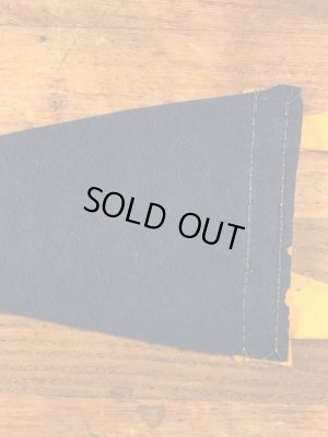 サンノゼステイトのカレッジ物の50〜60年代ビンテージペナント