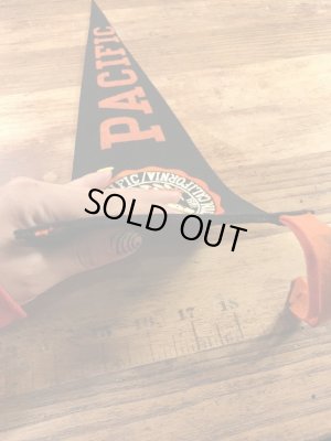 カラーフロッキーのカレッジ物の50〜60’sヴィンテージフェルトペナント