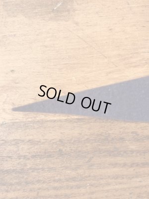 インディアンが描かれたスーベニア物の50〜60年代ビンテージペナント