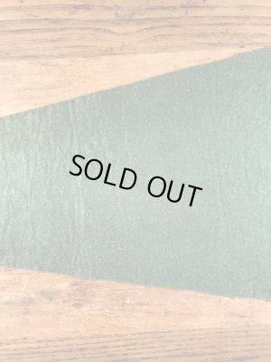 USアーミーのCamp Fannin,Texasの40〜50’sヴィンテージフェルトペナント