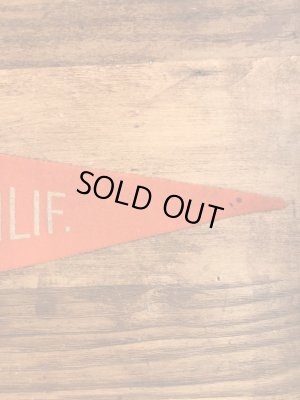 USアーミーのカラーフロッキーの40〜50年代ビンテージペナント