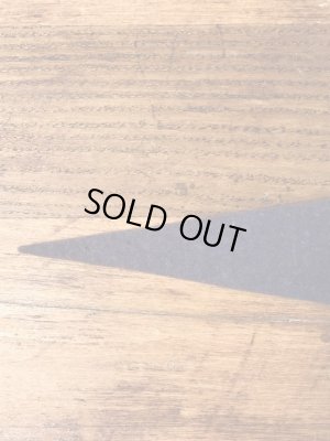 インディアンが描かれたスーベニア物の50〜60年代ビンテージペナント