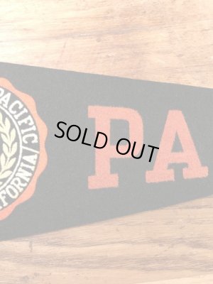 カラーフロッキーのカレッジ物の50〜60’sヴィンテージフェルトペナント