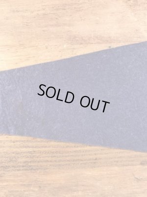 インディアンが描かれたスーベニア物の50〜60年代ビンテージペナント