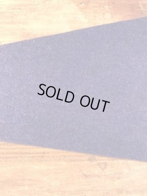 トーテムポールが描かれたスーベニア物の50〜60年代ビンテージペナント