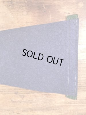 インディアンが描かれたArbutus Lakeの50〜60’sヴィンテージフェルトペナント