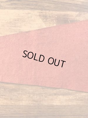 US Armyのフェルト製の40〜50'sヴィンテージペイント