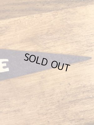 インディアンが描かれたArbutus Lakeの50〜60’sヴィンテージフェルトペナント