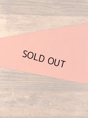 USアーミーのカラーフロッキーの40〜50年代ビンテージペナント