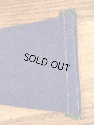 インディアンが描かれたArbutus Lakeの50〜60’sヴィンテージフェルトペナント