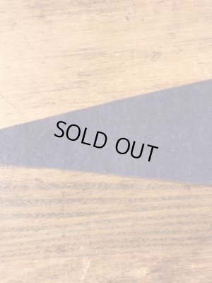 インディアンが描かれたArbutus Lakeの50〜60’sヴィンテージフェルトペナント