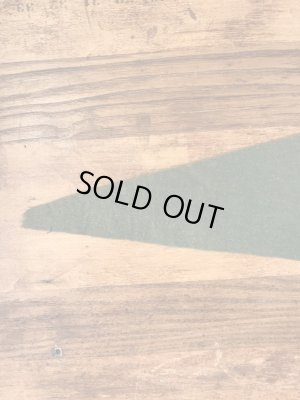 USアーミーのCamp Fannin,Texasの40〜50’sヴィンテージフェルトペナント