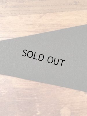 カラーフロッキーのカレッジ物の50〜60’sヴィンテージフェルトペナント